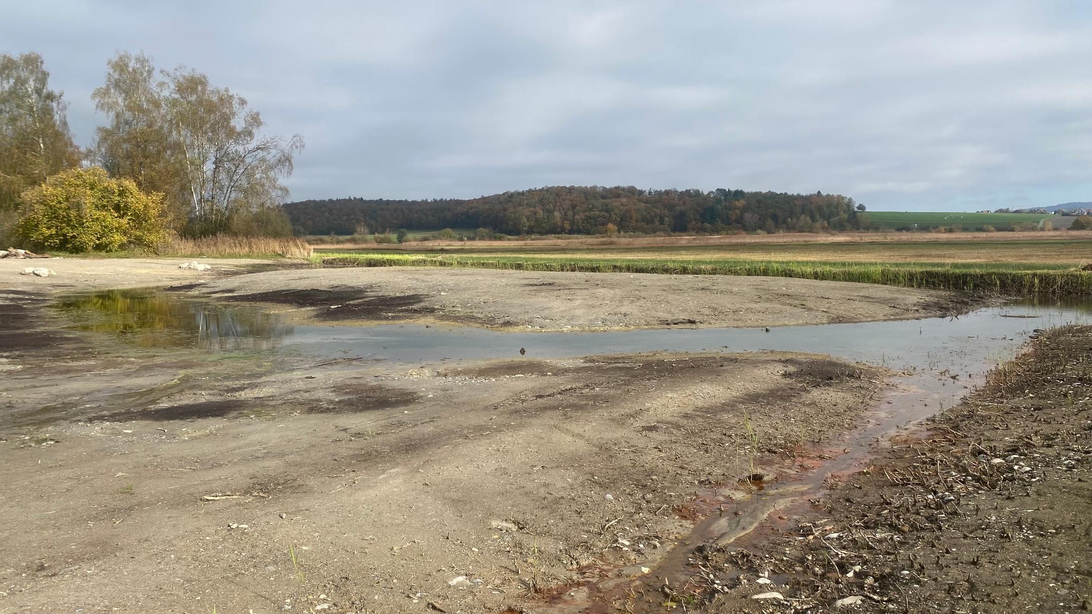 Projektgebiet während Renaturierung