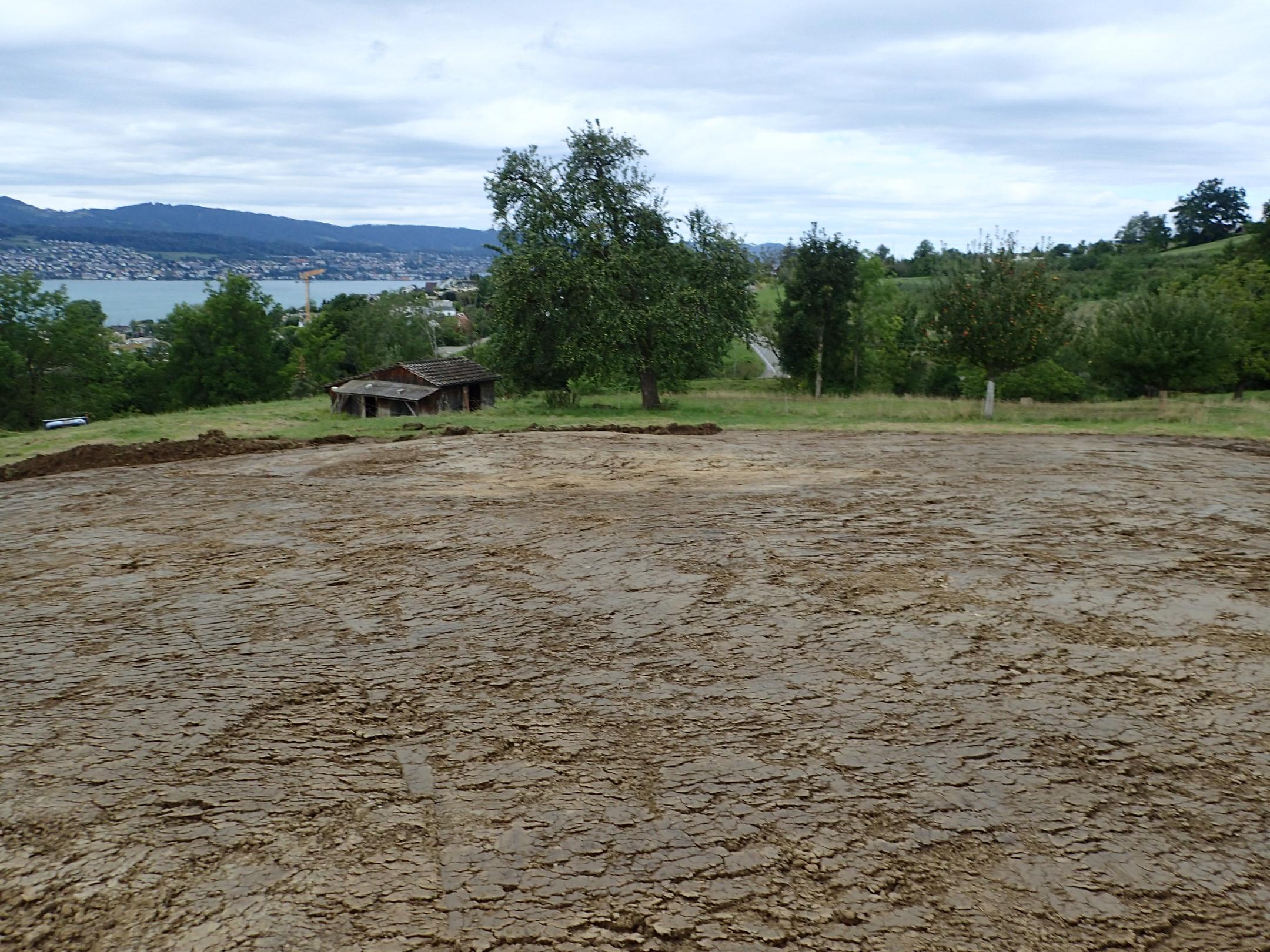 nördlicher Teil des Projektperimeters