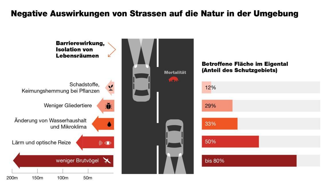 Grafik, die die Auswirkungen von Strassen auf die Natur darstellt