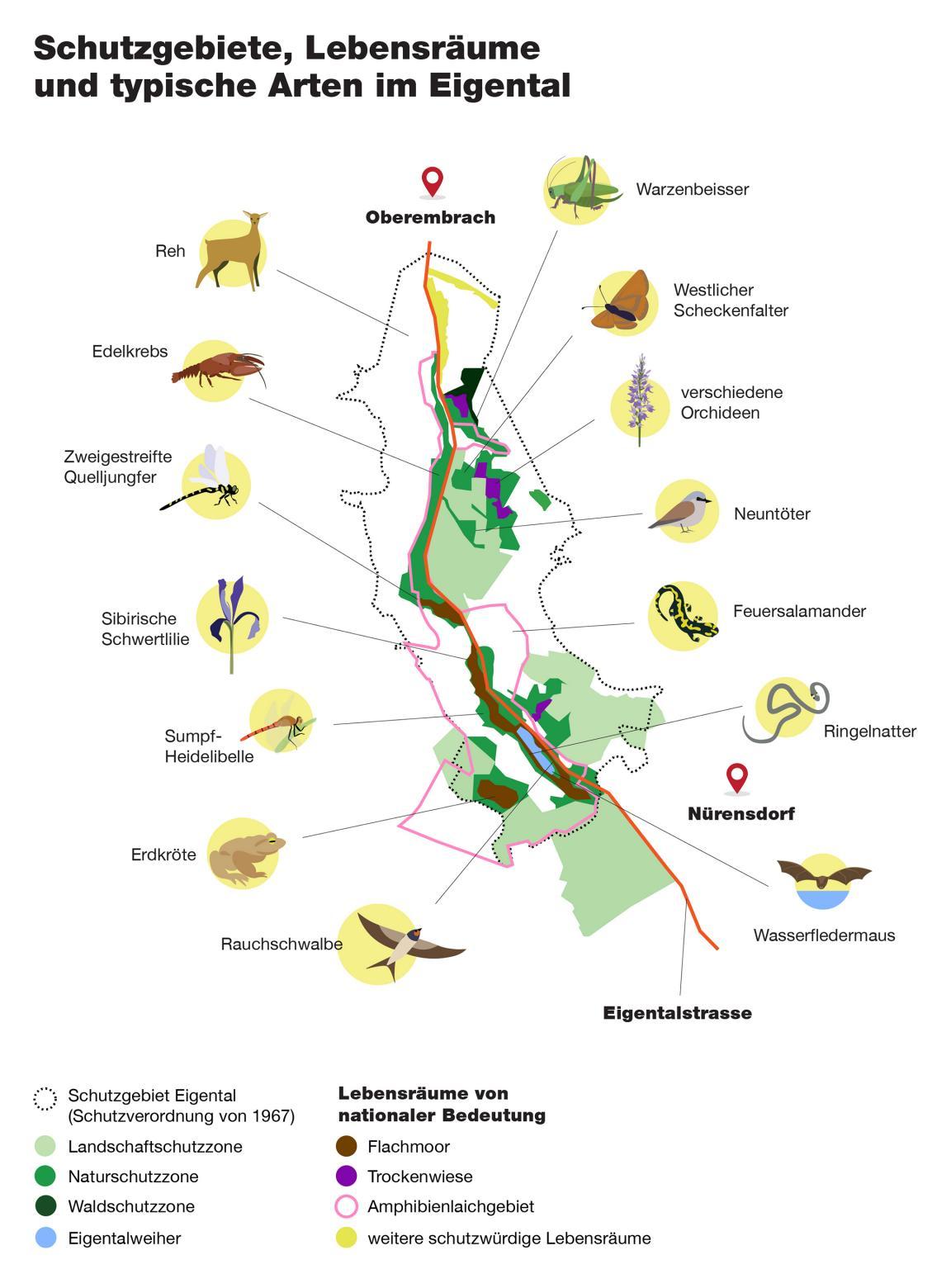 Karte Eigentalstrasse mit eingezeichneten Insekten, Amphibien und Pflanzen sowie einer Legende der verschiedenartigen Lebensräume, wie Flachmoor, Trockenwiese, Amphibienlaichgebiet und weiteren schützenswerten Lebensräumen
