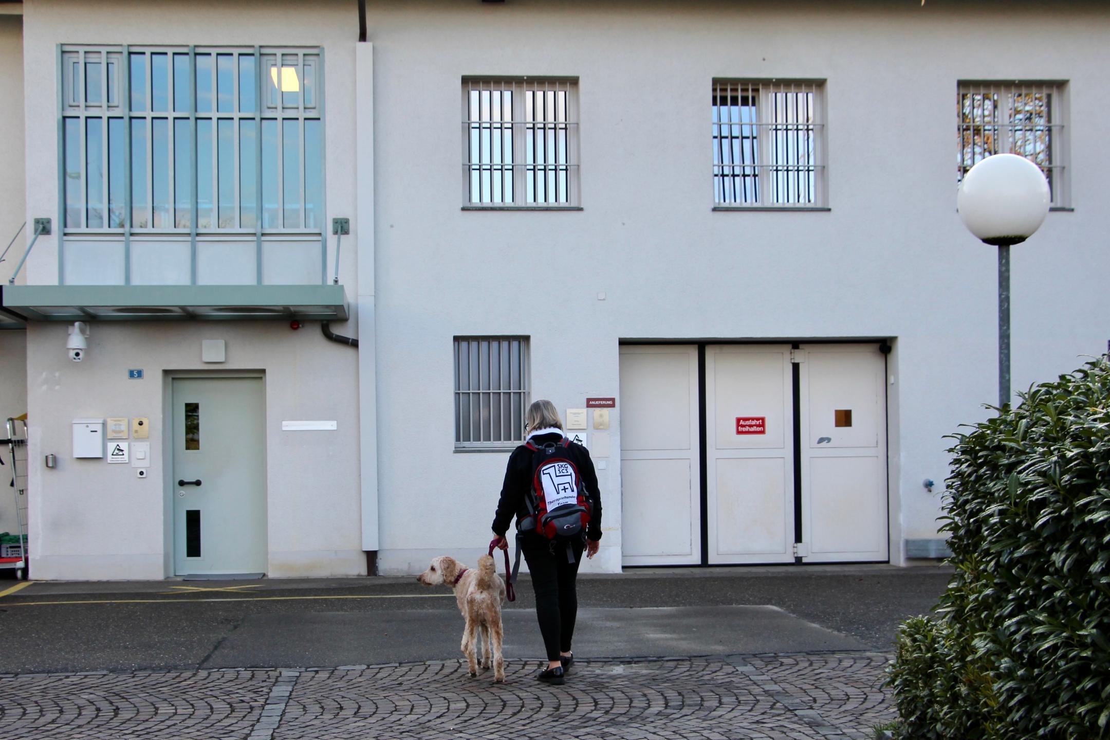 therapiehund_barney_geht_ins_frauengefaengnis_dielsdorf