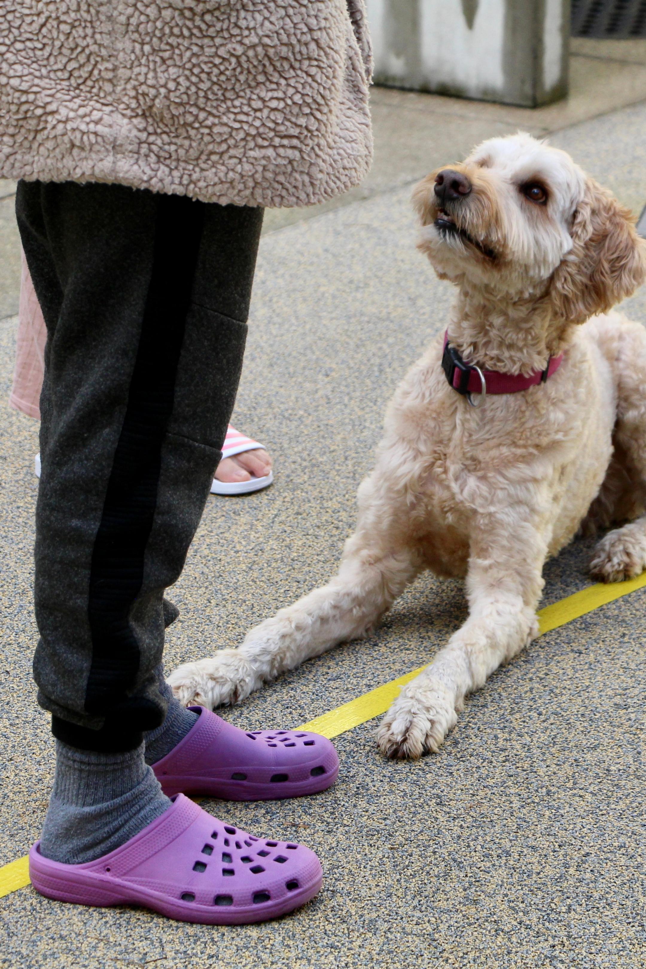 therapiehund_barney_mit_inhaftierten