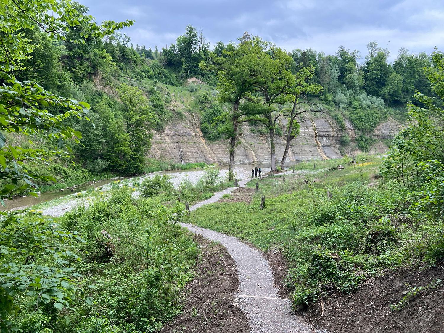 Pfad durch die Natur nahe der Töss.