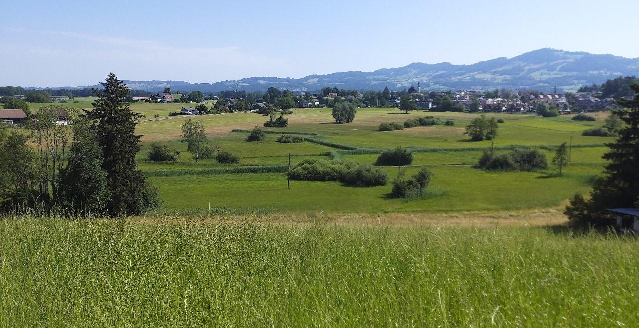 Landschaftsbild vom Zürcher Oberland mit Wiesen und Hügeln