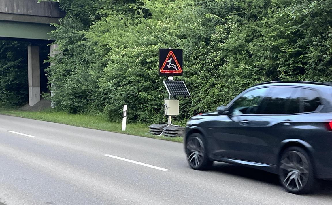 Mobile Wildwarnanlage zwischen Strasse und Waldrand platziert. 