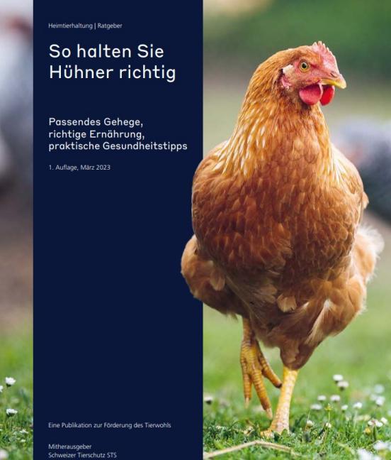 Ratgeber-Broschüre «So halten Sie Hühner richtig»