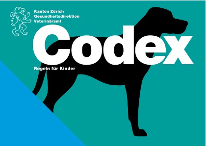 Codex – Regeln für die Unterstufe