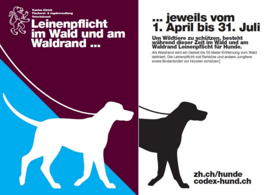 Flyer Leinenpflicht im Wald Setzzeit