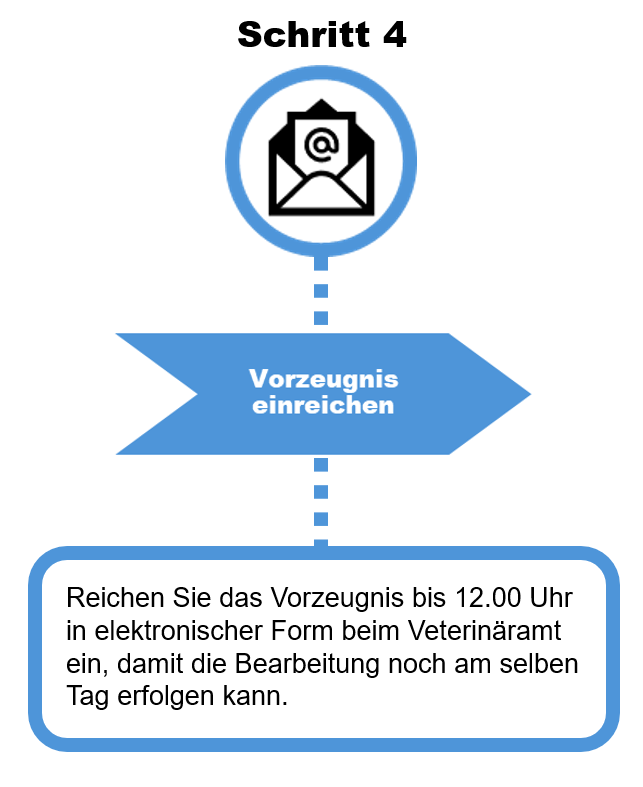 Diagramm Export Schritt 4