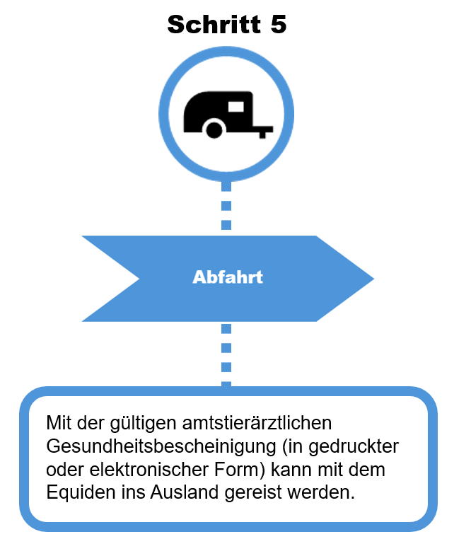 Diagramm Export Schritt 5