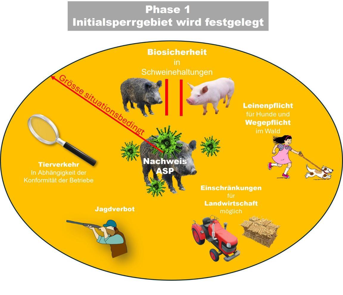 Diagramm ASP-Bekämpfung Phase 1