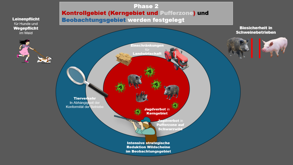 Diagramm ASP Massnahmen Phase 2