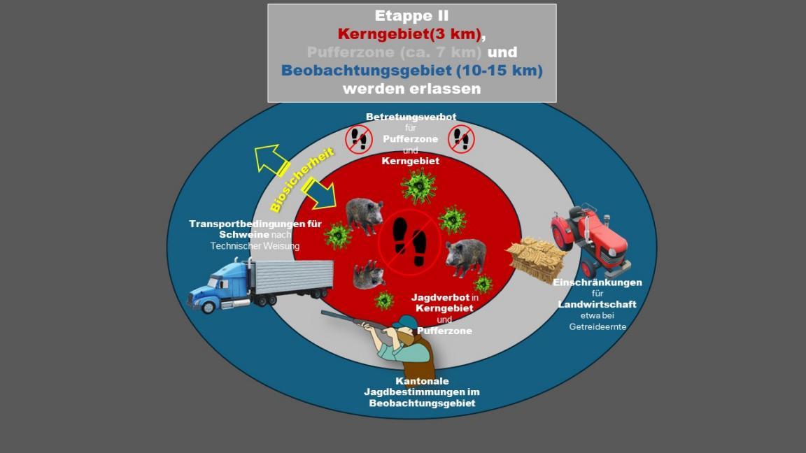 ASP Krisenausbruch Etappe II