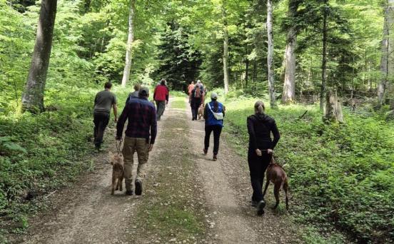 Acht Hundeführer laufen mit ihren Hunden auf einem Waldweg.