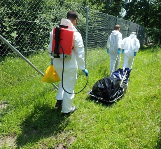 Abtransport des aufgefundenen Tierkadavers.