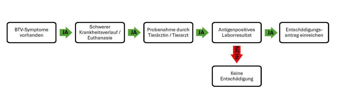 Grafik Ablauf Entschädigung BTV