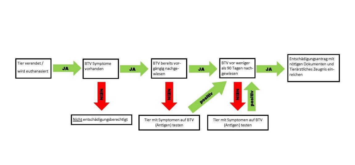 Flussdiagramm Entschädigung BTV