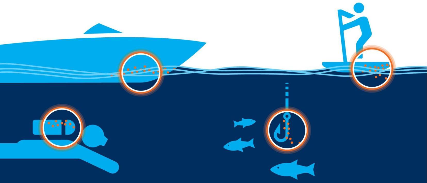 Schematische Darstellung eines Boots, eines Tauchers mit Pressluftflasche, eines Angelhakens und eines Standup-Paddlers, an denen Neobiota haften