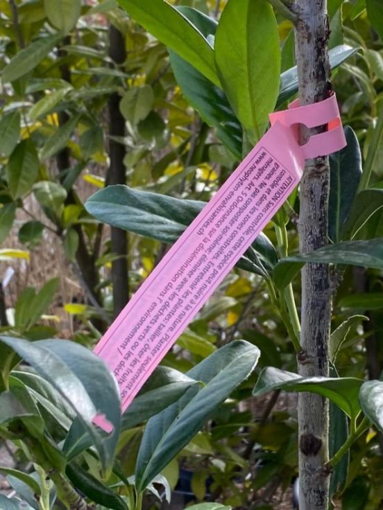 Beispiel für ein Informationsschild