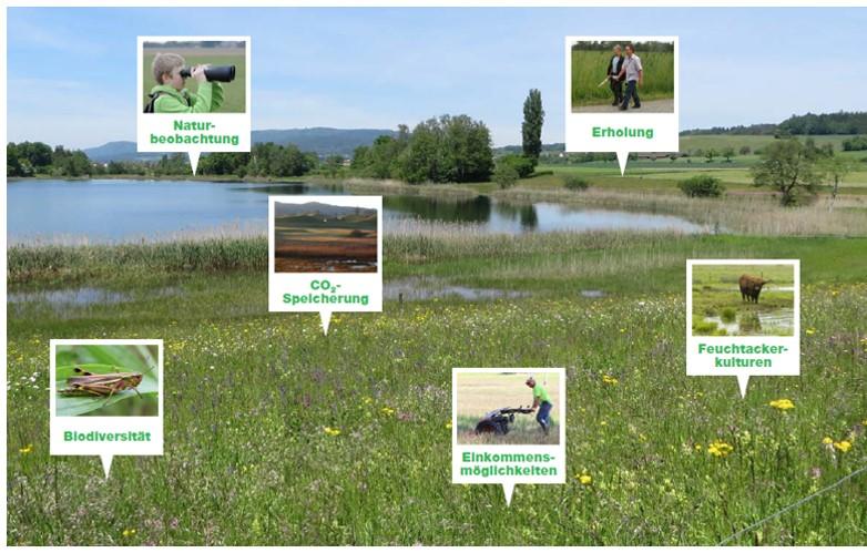Natürliche Ökosysteme erbringen viele wertvolle Leistungen wie Naturbeobachtung, Erholung, CO2-Speicherung, Biodiversität, Einkommensmöglichkeiten oder Feuchtackerkulturen.