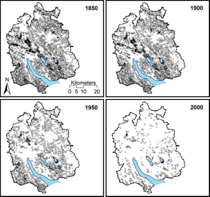 Vier Karten zeigen die Ausbreitung von Feuchtflächen im Kanton Zürich. 