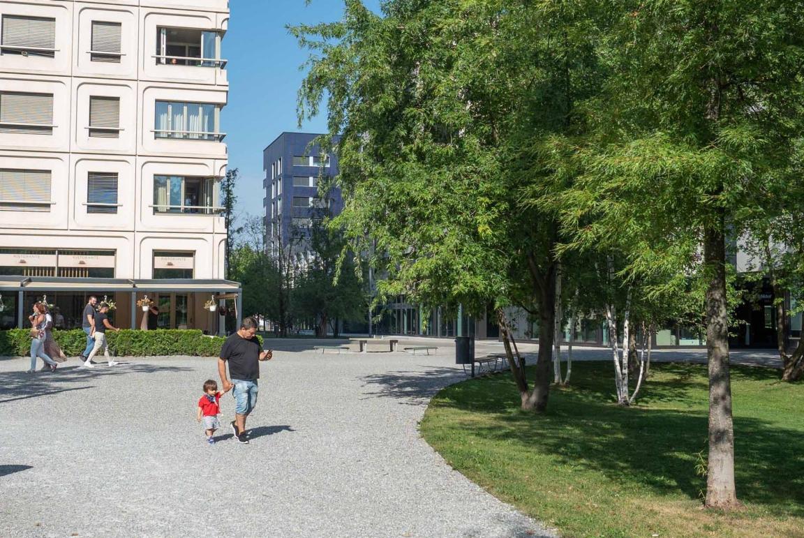 Bild auf dem der am Rietpark zu sehen ist mit breitem Kiesweg und Bäumen.