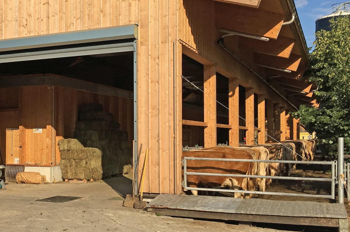 Foto zeigt einen Laufstall mit Kühen.