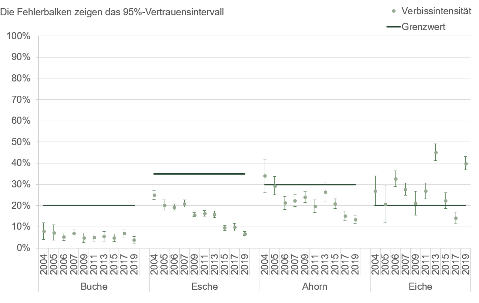 Die Verbissintensität in den Jahren 2004 bis 2019 sind bei der Buche sowie der Esche unter dem Grenzwert, bei dem Ahorn und der Eiche variieren sie auf dem Grenzwert.