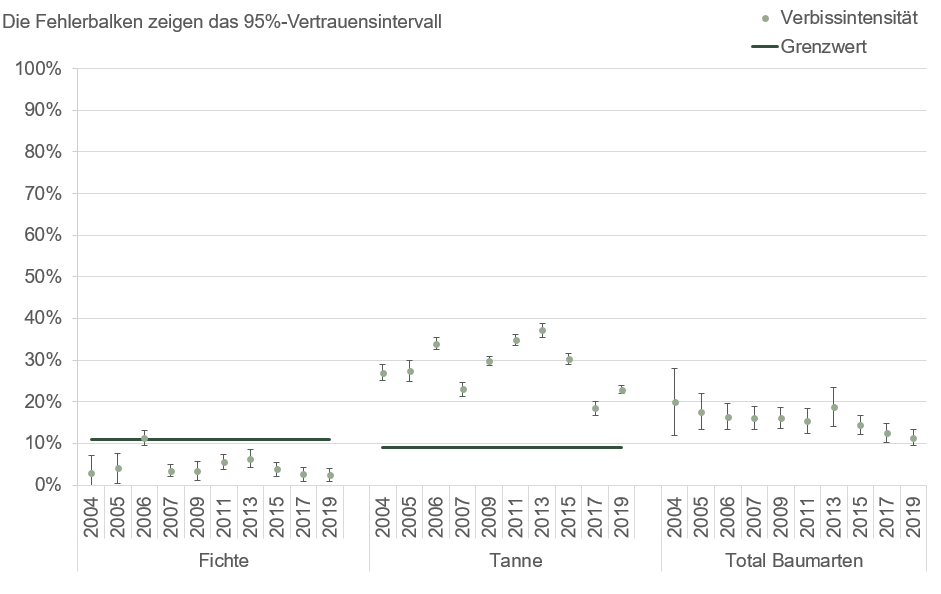 Die Verbissintensität in den Jahren 2004 bis 2019 sind bei der Fichte grösstenteils knapp unter dem Grenzwert, bei der Tanne jedoch darüber.