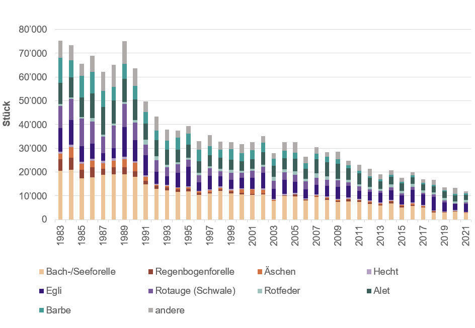 Grafik, die die jährlichen Fischfänge der Angelfischer in den Fliessgewässern vom Jahr 1983 bis 2021 zeigt. Die Anzahl Fische sind stetig zurück gegangen.