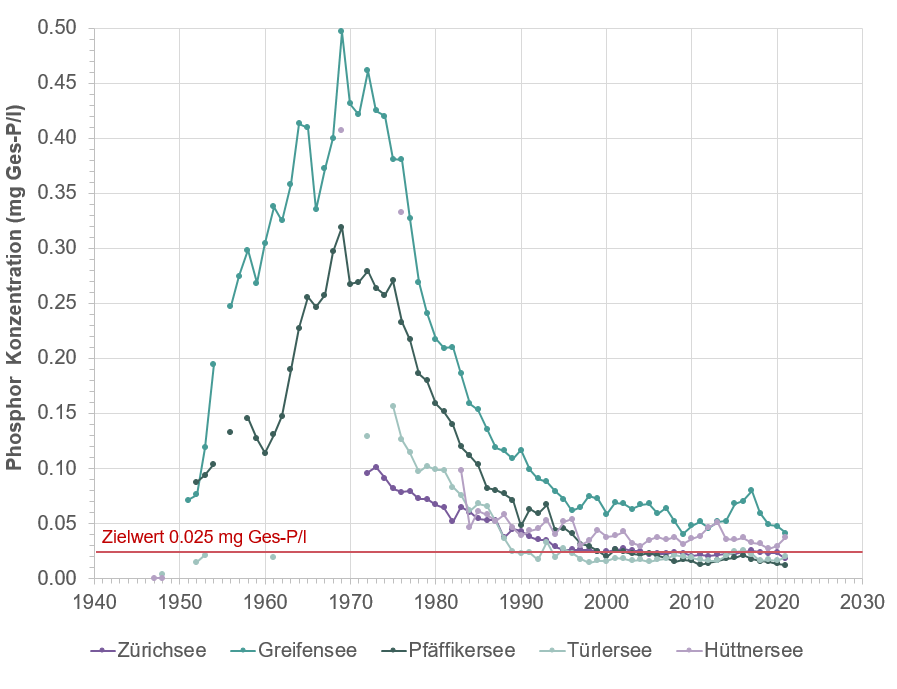 Die Gesamtphosphor Konzentrationen in den Zürcher Seen ist im Vergleich zu den 60er und 70er Jahren stark gesunken. 
