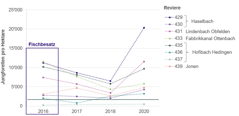 Grafik zeigt die Dichte an Jungforellen der Jahre 2016 bis 2020 in den verschiedenen Revieren.