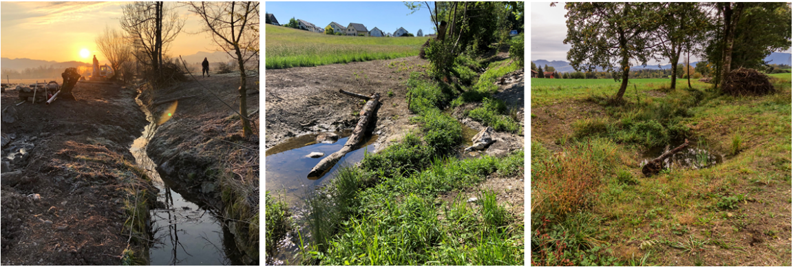 Bilder zur Revitalisierung am Neuguetbach in Bubikon im Jahr 2020