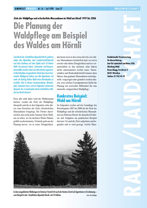 Zürcher Umweltpraxis 16: Ziele der Waldpflege und erforderliche Massnahmen im Wald am Hörnli 1997 bis 2006: Die Planung der Waldpflege am Beispiel des Waldes am Hörnli
