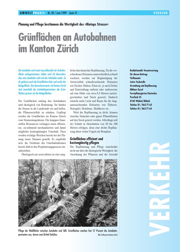 Grünflächen an Autobahnen im Kanton Zürich: Planung und Pflege bestimmen die Wertigkeit des «Biotops Strasse»