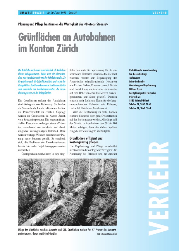 Zürcher Umweltpraxis 20: Grünflächen an Autobahnen im Kanton Zürich: Planung und Pflege bestimmen die Wertigkeit des «Biotops Strasse»