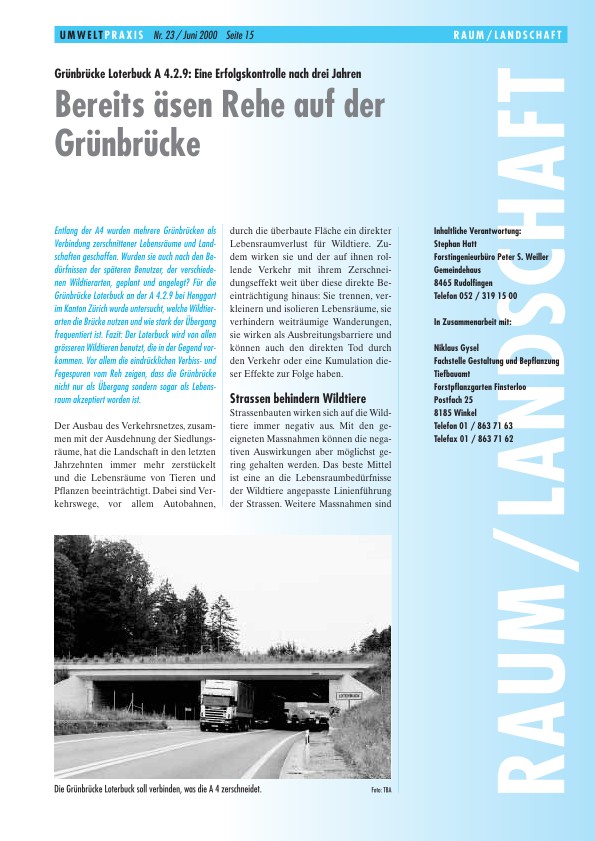 Grünbrücke Loterbuck A 4.2.9: Eine Erfolgskontrolle nach drei Jahren - Bereits äsen Rehe auf der Grünbrücke