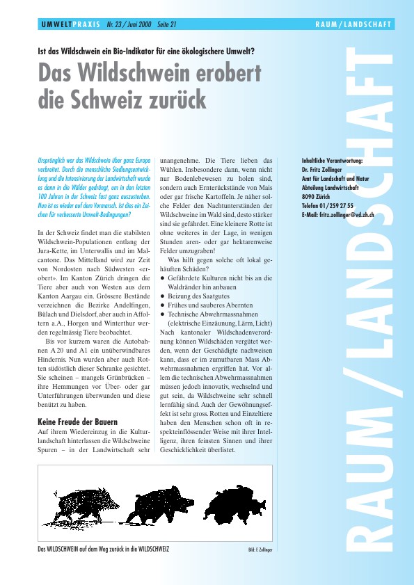 Zürcher Umweltpraxis 23: Das Wildschwein erobert die Schweiz zurück: Ist das Wildschwein ein Bio-Indikator für eine ökologischere Umwelt?