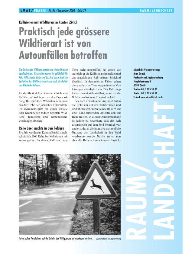 Zürcher Umweltpraxis 24: Kollisionen mit Wildtieren im Kanton Zürich: Praktisch jede grössere Wildtierart ist von Autounfällen betroffen