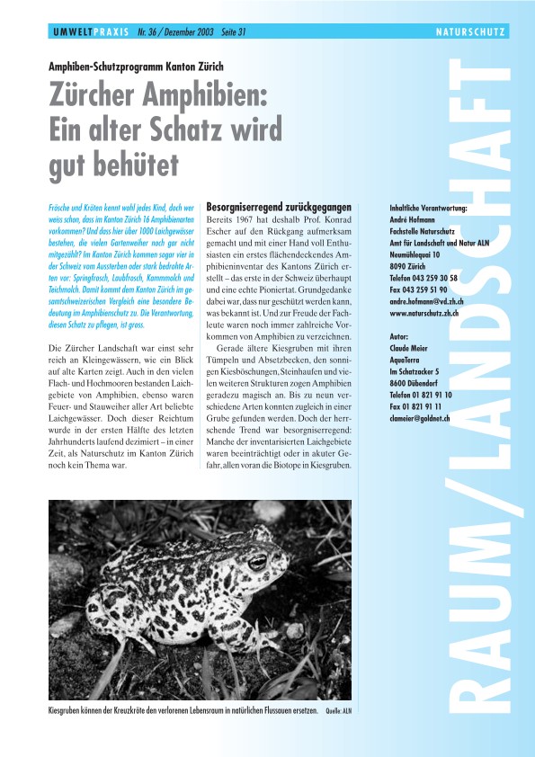 Amphibien-Schutzprogramm Kanton Zürich - Zürcher Amphibien: Ein alter Schatz wird gut behütet