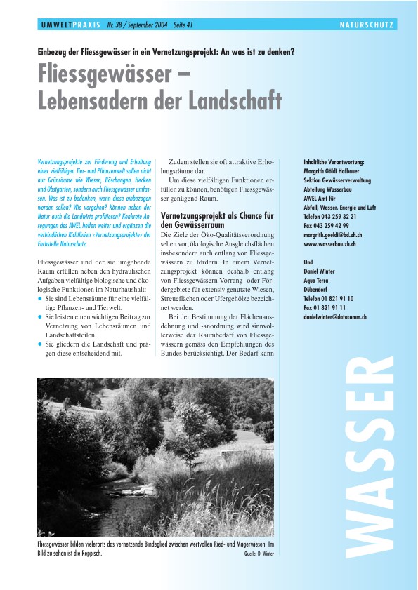 Zürcher Umweltpraxis 38: Fliessgewässer – Lebensadern der Landschaft: Einbezug der Fliessgewässer in ein Vernetzungsprojekt: An was ist zu denken?