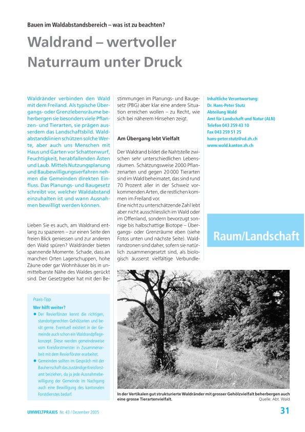 Zürcher Umweltpraxis 43: Waldrand – wertvoller Naturraum unter Druck: Bauen im Waldabstandsbereich – was ist zu beachten?