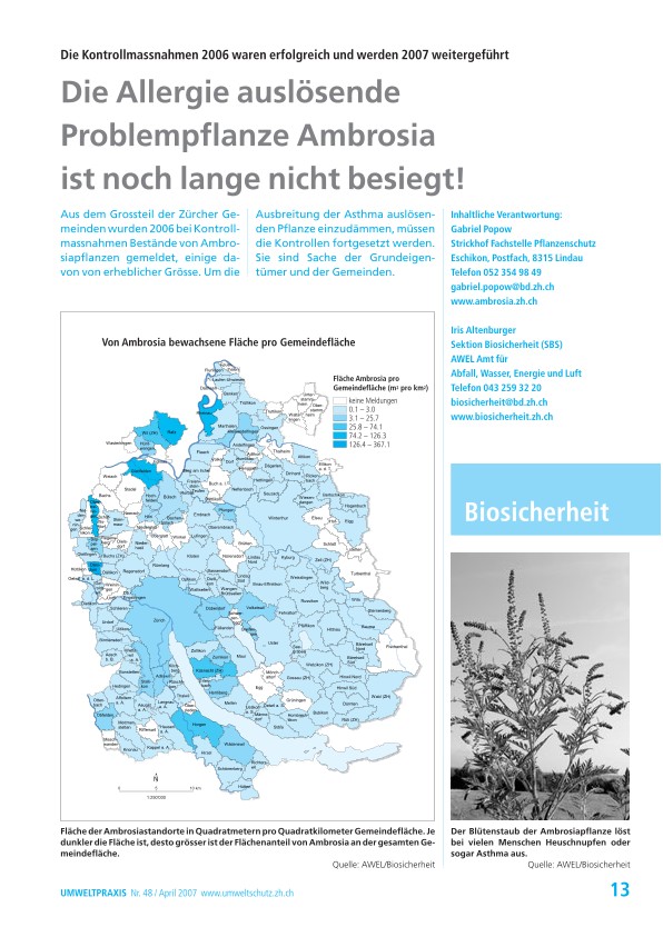 Die Kontrollmassnahmen 2006 waren erfolgreich und werden 2007 weitergeführt: Die Allergie auslösende Problem­pflanze Ambrosia ist noch lange nicht besiegt! 