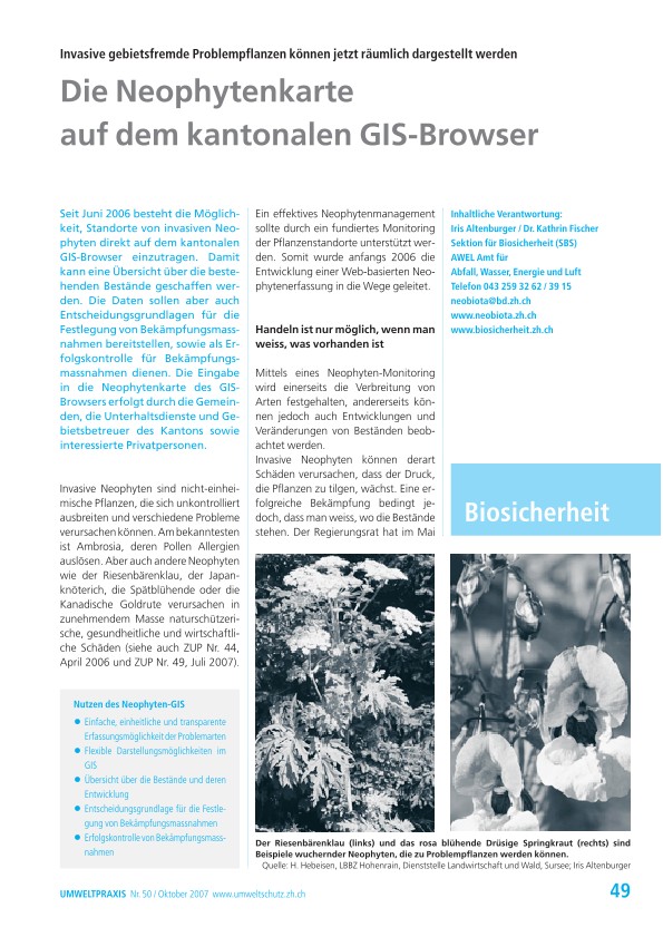 Die Neophytenkarte auf dem kantonalen GIS-Browser: Invasive gebietsfremde Problempflanzen können jetzt räumlich dargestellt werden