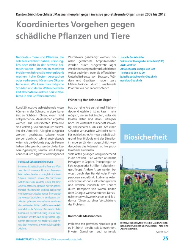 Koordiniertes Vorgehen gegen schädliche Pflanzen und Tiere: Kanton Zürich beschliesst Massnahmenplan gegen invasive gebietsfremde Organismen 2009 bis 2012