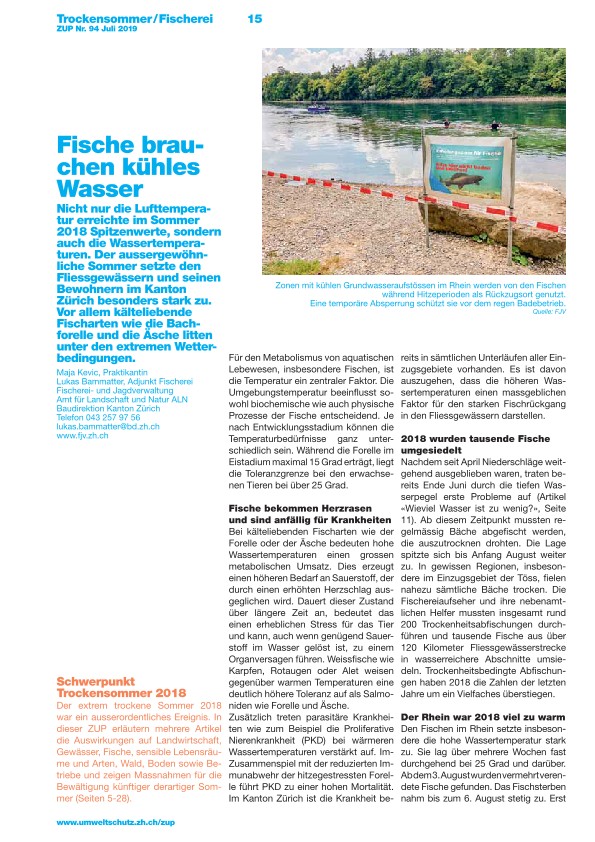 Zürcher Umweltpraxis 94: Fische brauchen kühles Wasser