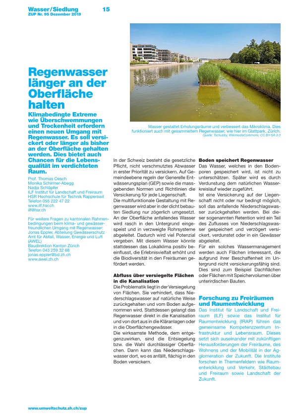 Zürcher Umweltpraxis 95: Regenwasser länger an der Oberfläche halten