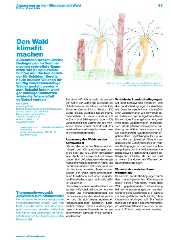 Den Wald klimafit machen