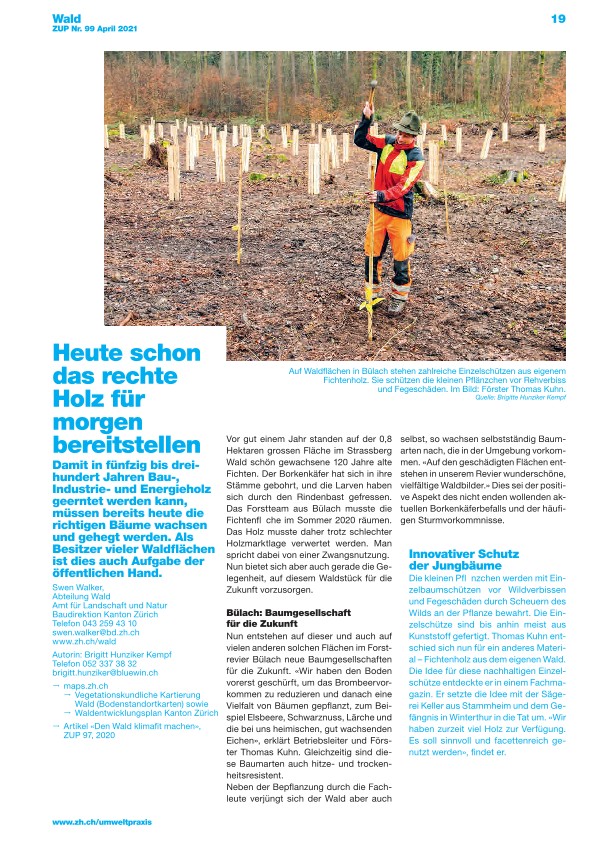 Zürcher Umweltpraxis und Raumentwicklung 99: Heute schon das rechte Holz für morgen bereitstellen