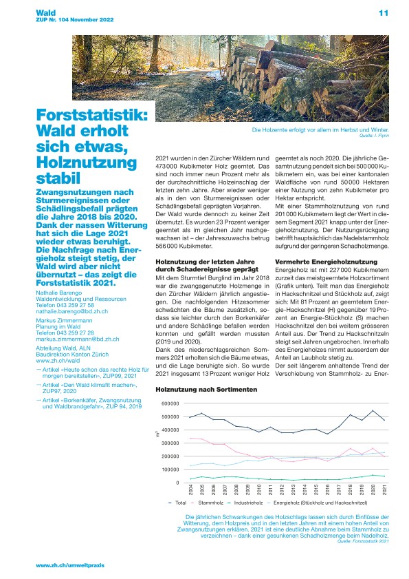 Forststatistik: Wald erholt sich etwas, Holznutzung stabil